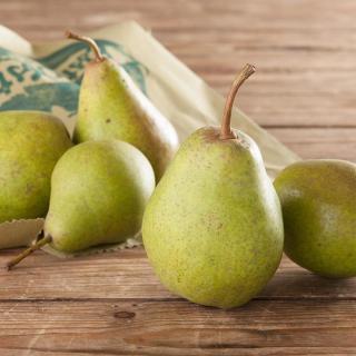 Birne Guyot - Neue Ernte  ´60+