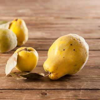 Quitten Apfel von Isak