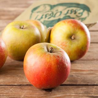 Apfel Red Jonaprince ´65+
