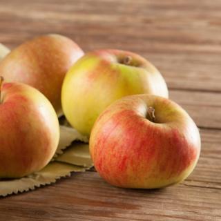 Apfel James Grieve