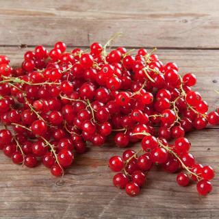 Johannisbeeren ROT von Kleimeier