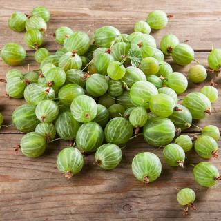Stachelbeeren ROT