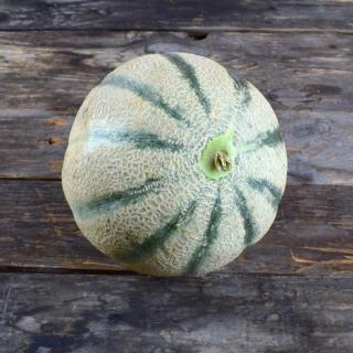 Honigmelone Charentais ´800g+