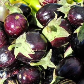 Auberginen rund violett ´200-400g