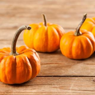 Kürbis Jack be Little