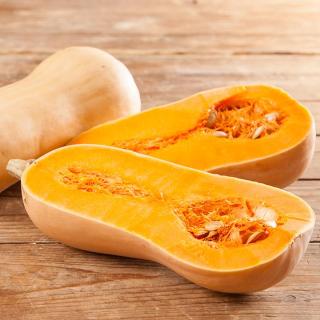 Kürbis Butternut grünschalig