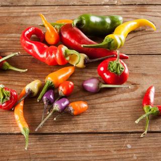 Chilli de Cayenne