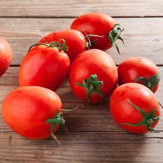 Tomaten Roma