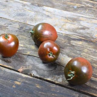 Tomaten Roma Black Truffle