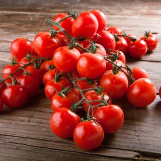 Tomaten Cherrystrauch
