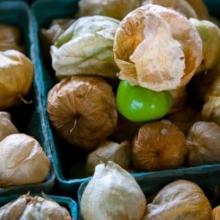 Tomatillos bunt von Ackerpulco