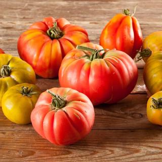 Tomaten Ochsenherz dunkel