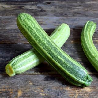Zucchini Costata Romanesco