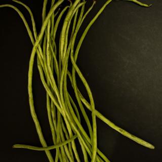 Spaghettibohnen