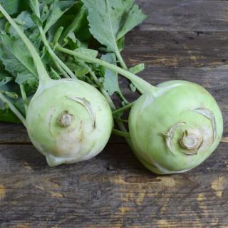 Kohlrabi Superschmelz