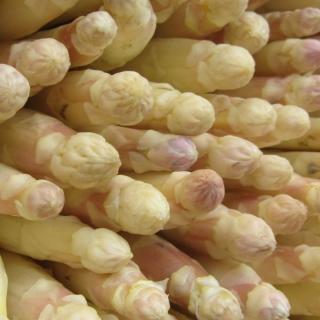 Spargel weiß-violett ohne FOLIE