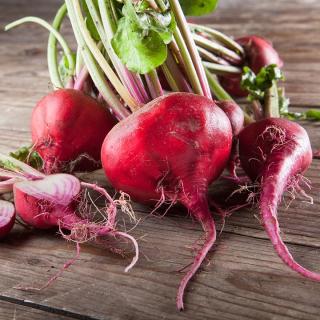 Bete rot-weiß