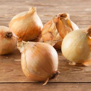 Küchenzwiebeln 70-90