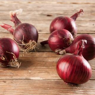 Zwiebeln rot  ´40-60