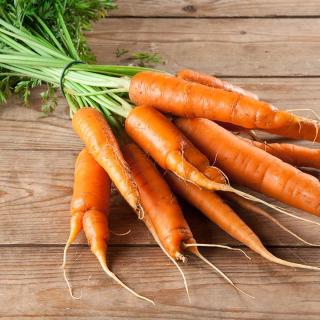 Möhren WEISS-GELB Maruschka