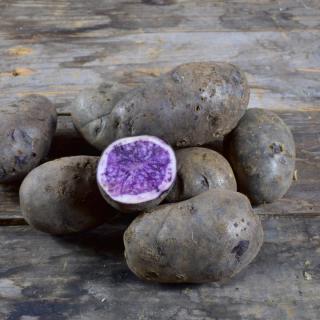 Kartoffeln Violetta fk