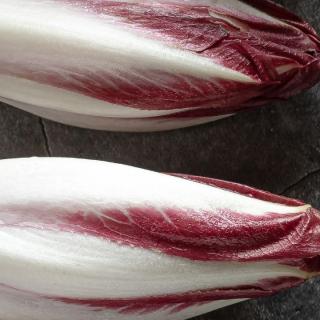 Salat Radicchio  ´300-700g