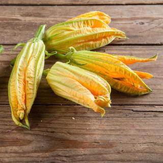 Blüten Zucchini
