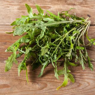 Salat Rucola gepackt