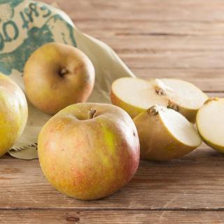 Apfel Glockenapfel  ´60+