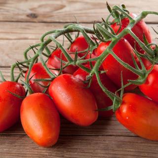 Tomate Cherrystrauch