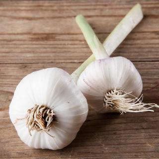 Knoblauch trocken